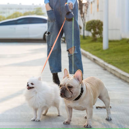 Laisse Double pour Chien | DuoRetrac™