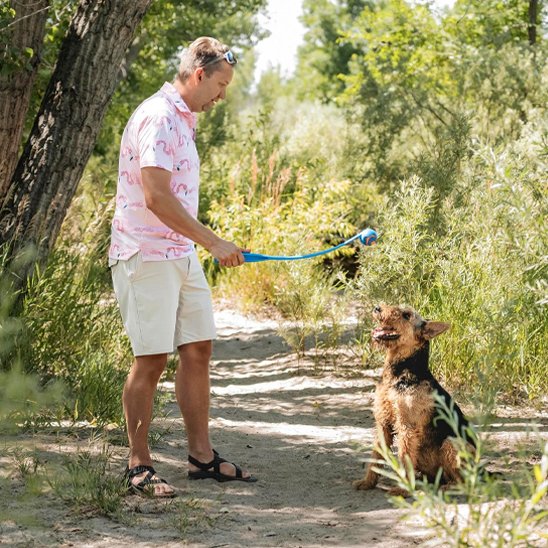 Lanceur de balle pour chien FetchJet bleu jeu forêt