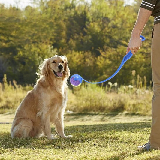 Lanceur de balle pour chien FetchJet entrainement golden retriever