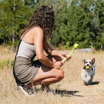 Lanceur de balle pour chien FetchJet jaune petit chien entrainement