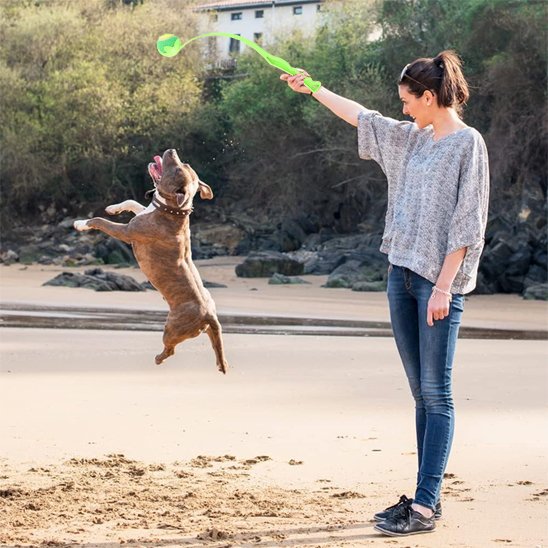 Lanceur de balle pour chien FetchJet vert entrainement staff