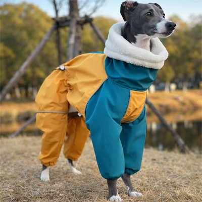 lévrier avec Impermeable pour chien​ jaune qualité supérieur robuste