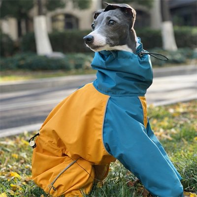 lévrier avec Impermeable pour chien​ qualité supérieur durable résistant