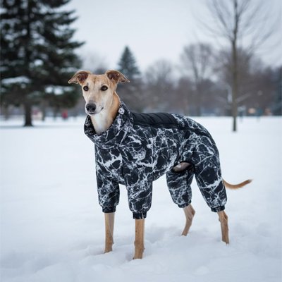 lévrier avec Manteau impermeable chien couleur noire marbre stylé