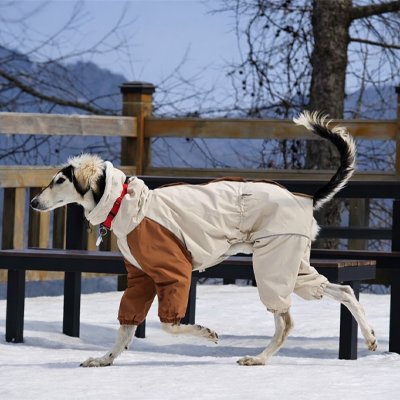 lévrier marchant avec Manteau Imperméable pour chien​ marron clair élégant