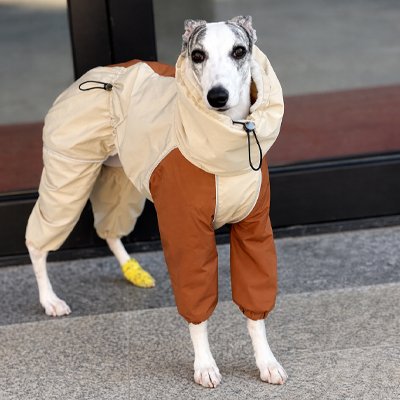 lévrier portant Manteau Imperméable pour chien​ marron clair design
