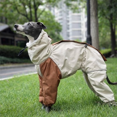 lévrier posant avec Manteau Imperméable pour chien​ marron chaud design