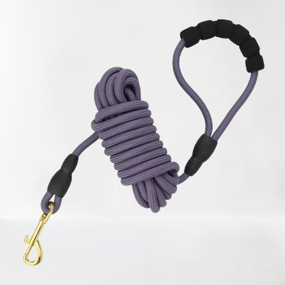 longe-chien-poignee-ergonomique-violette