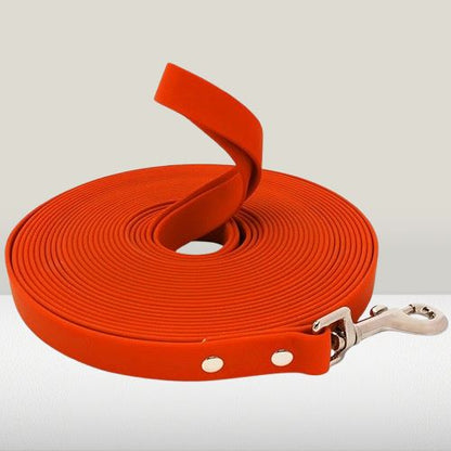 Longe Chien | ImperAventur™
