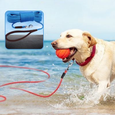 longe-chiens-bleue-polyvalente