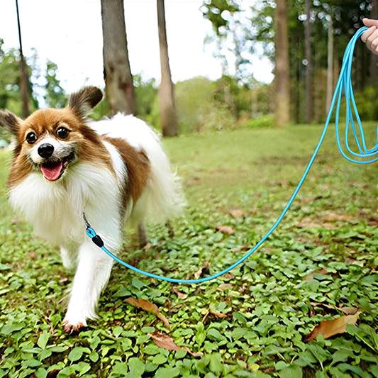 longe-chiens-bleue-promenade-parc-leashaventur