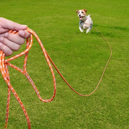 Longe Chiens | LeashConfort™
