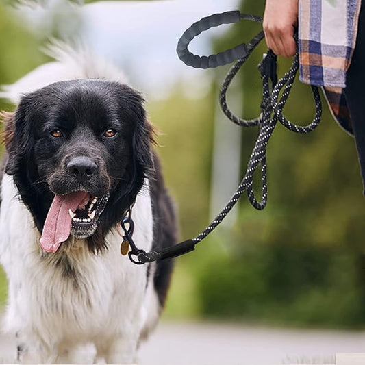 longe-chiens-noire-poignee-ergonomique-moelleuse-leashconfort
