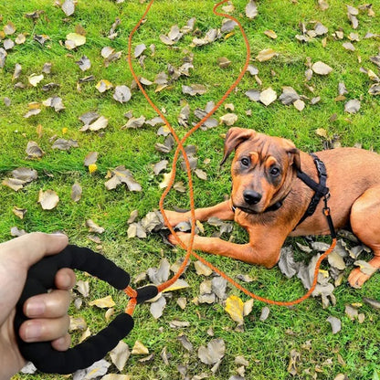 longe-chiens-poignee-moelleuse-confortable-chien-allonge-herbe-leashconfort