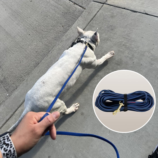 longe-pour-chien-bleu-fonce-waterproof