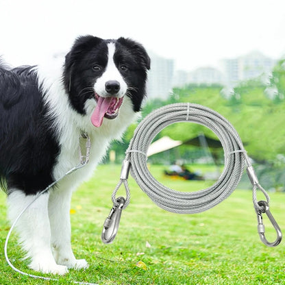 longe-pour-chien-cable-robuste