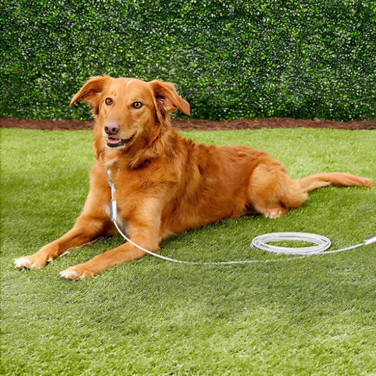 longe-pour-chien-cable-securiteneuf-milimetre-Resist&liberty