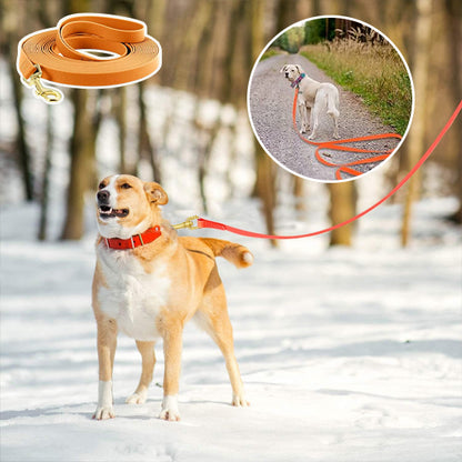 longe-pour-chien-entrainement