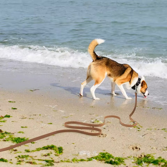 longe-pour-chien-marron-resistante-dressage-exterieur-motif-vague-easyrunning