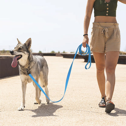 longe-pour-chien-randonnee-bleue