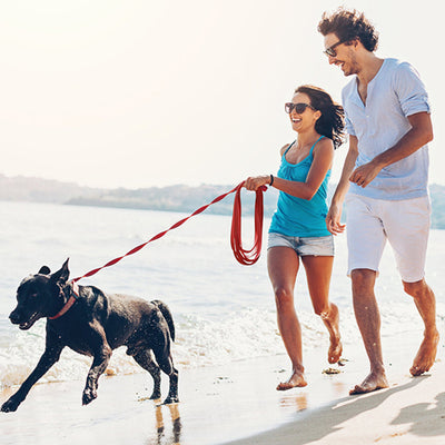 longe-pour-chien-rouge-couple-plage-bivouakproof