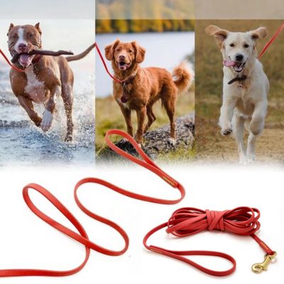 longe-pour-chien-rouge-polyvalente