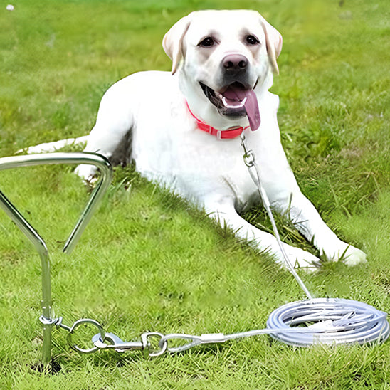 longe-pour-chien-securite-robuste