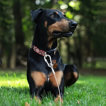 longe-pour-chien