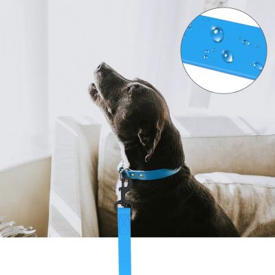 Longe pour Chien | BonneAventure™
