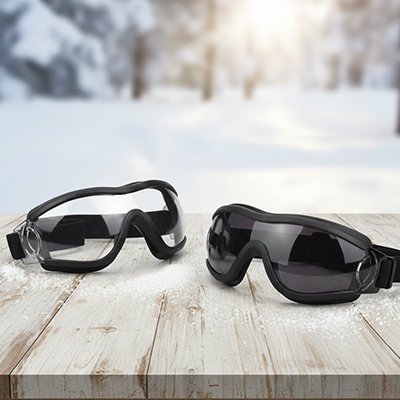 Lunette de soleil pour chien deux variantes de verres