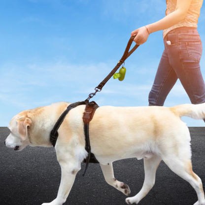 Laisse courte pour chien | Calmoov™