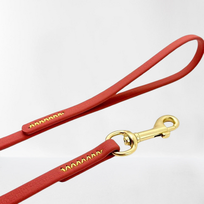 Longe pour chien | Bivouakproof™