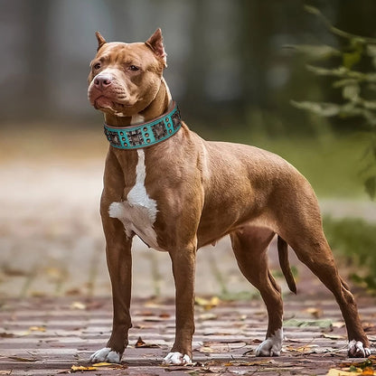 Coller Cuir Chien | VintaDog™