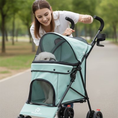 Maitresse promenant bichon dans Poussette pour chien bleu ciel design