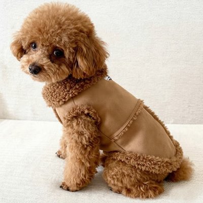Manteau Chien avec fourrure marron sur petit caniche