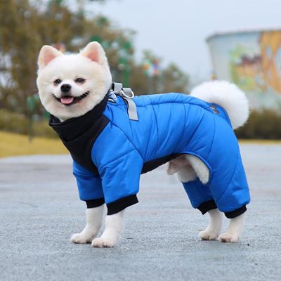 manteau-chien-bleu