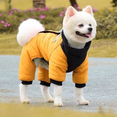 manteau-chien-design-jaune