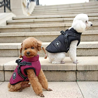 Manteau chien 2 en 1 | PuppyWinter™
