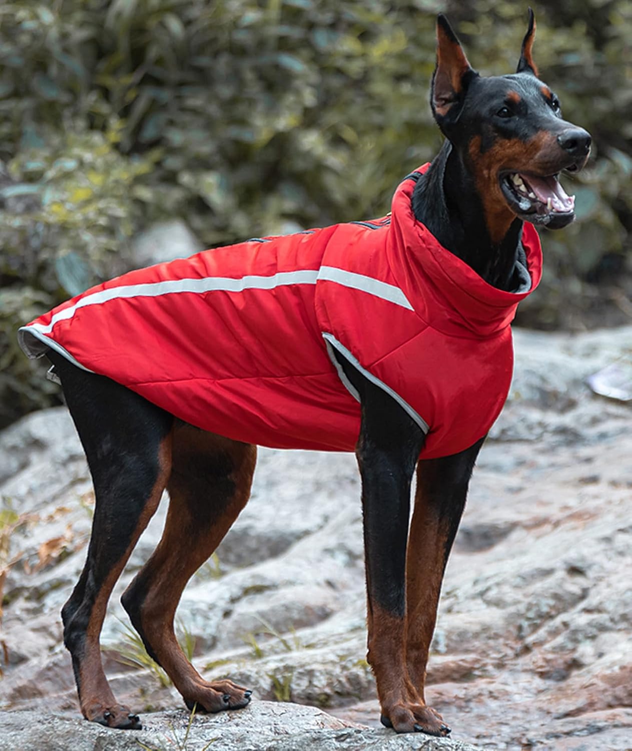 manteau-chien-grande-tailles-chaud-polaire-couture-reflechissante-pepsywoof