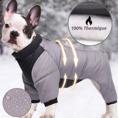 Manteau chien 2 en 1 | LilyDoudoun™