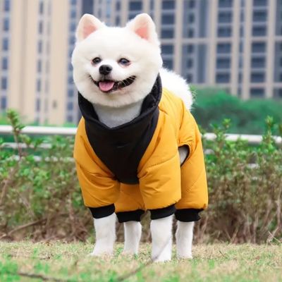 manteau-chien-jaune-chaud-protection-hiver-lilydoudoun