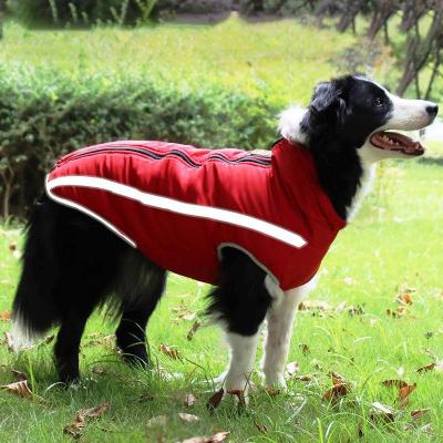 manteau-chien-reflechissant-rouge