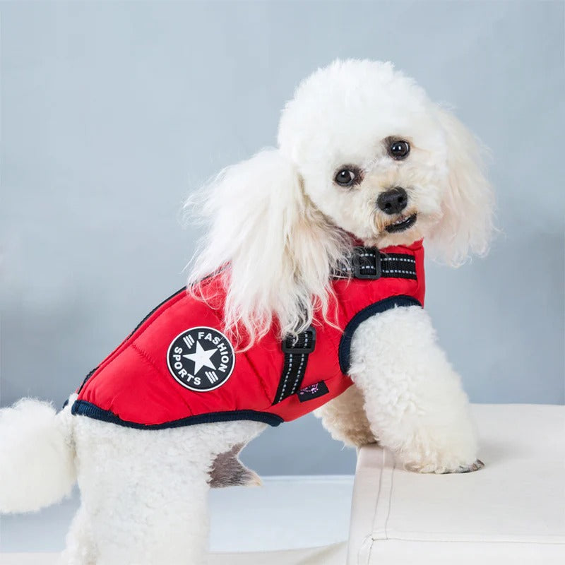 manteau-chien-rouge-tendance-harnais-integre-puppywinter