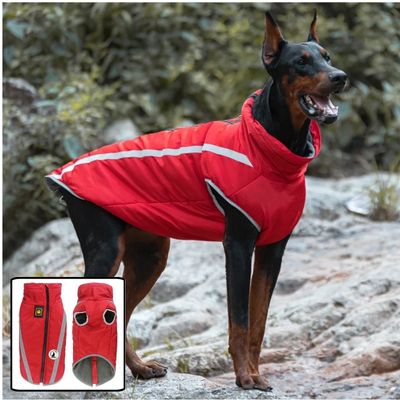 MANTEAU CHIEN | PepsyWoof™