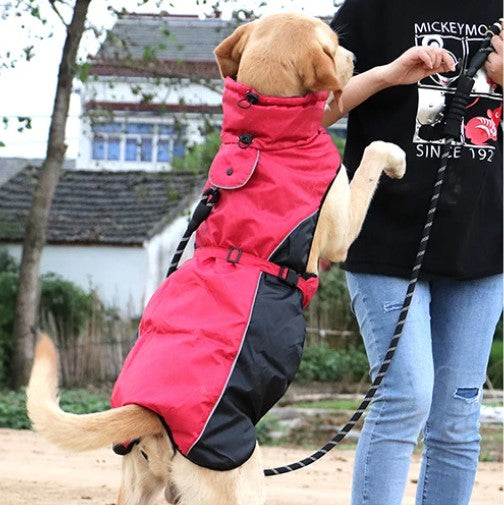 manteau-chien-vetement-confort-extrem-eldora