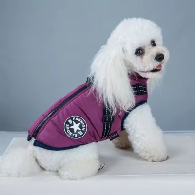 manteau-chien-violet-style-unique-harnais-integre-puppywinter