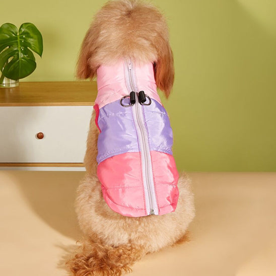 manteau-chien-vue-dos-rose-violet-beau-design