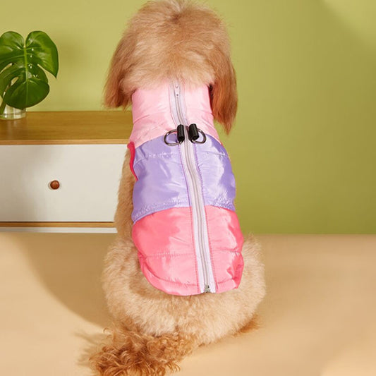 manteau-chien-vue-dos-rose-violet-beau-design