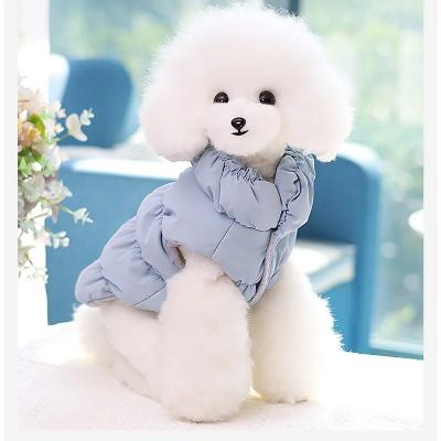 manteau-petit-chien-bleu-ciel