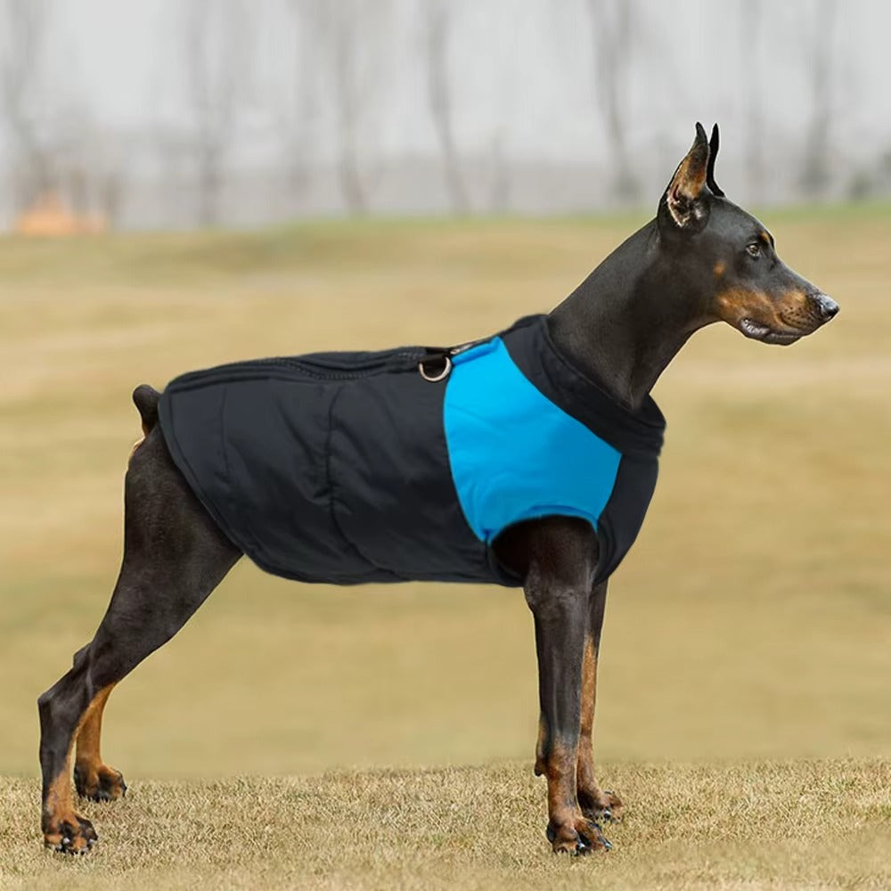 manteau-pour-chien-bleu-froid-extreme-rainkool
